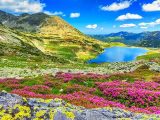 Uttrakhand