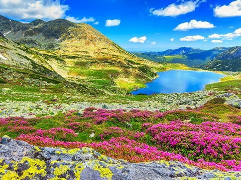 Uttrakhand
